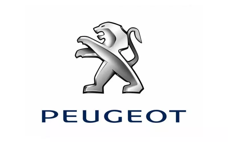  Peugeot Métin